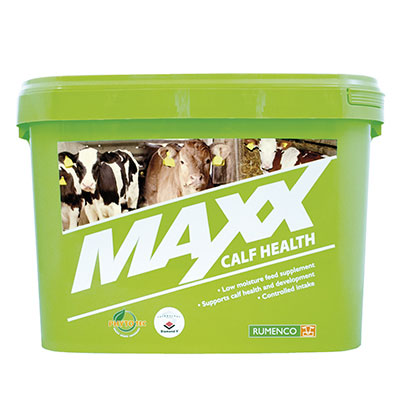 maxx calf health block delivering real benefits