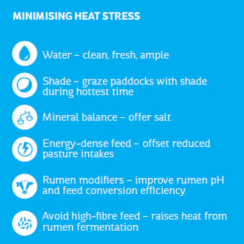 minimising heat stress