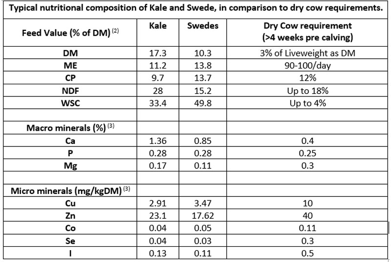 typical nutrional composition of kale and sweden