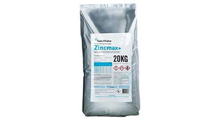 zincmax eczema